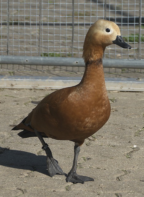 时沉默