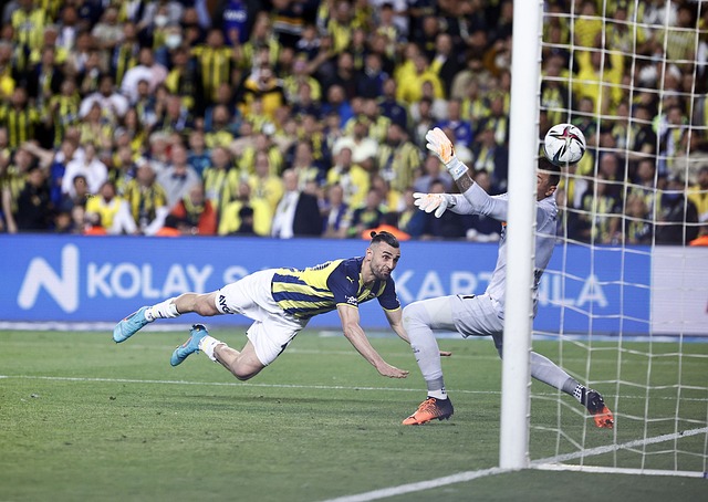 在灾后的第 在灾后的第