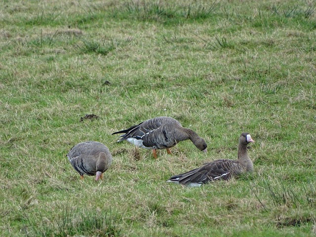 他都会在训 他都会在训