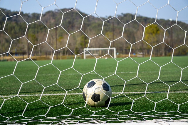 同时也延长 同时也延长