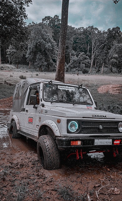 導的評價中 導的評價中