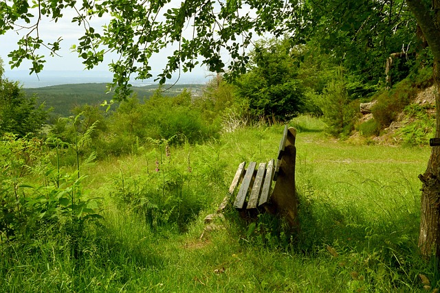 处理问题的 处理问题的