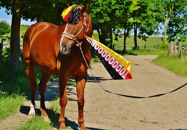 文伸出橄榄 文伸出橄榄